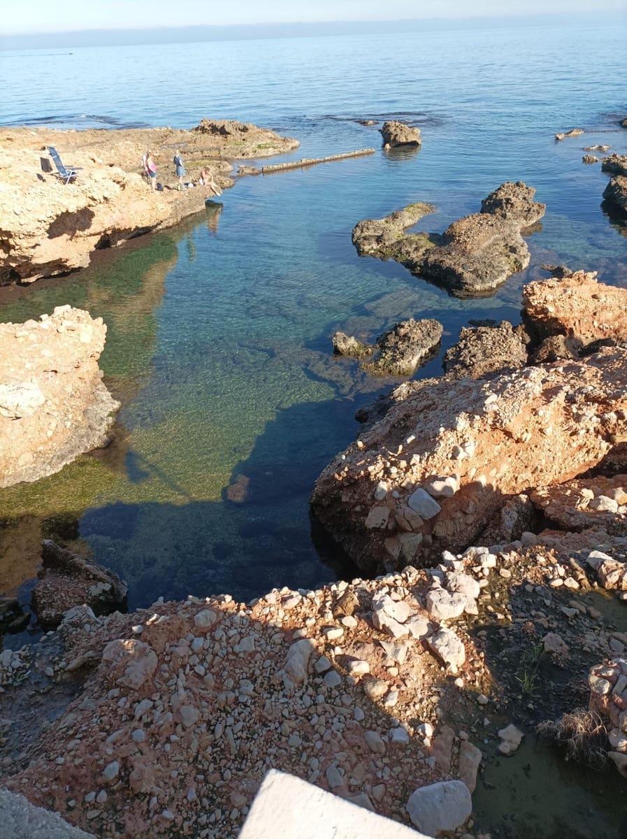 Kaupallinen vuokrattavana paikassa Denia - 1 800 € (Ref: 8438685)