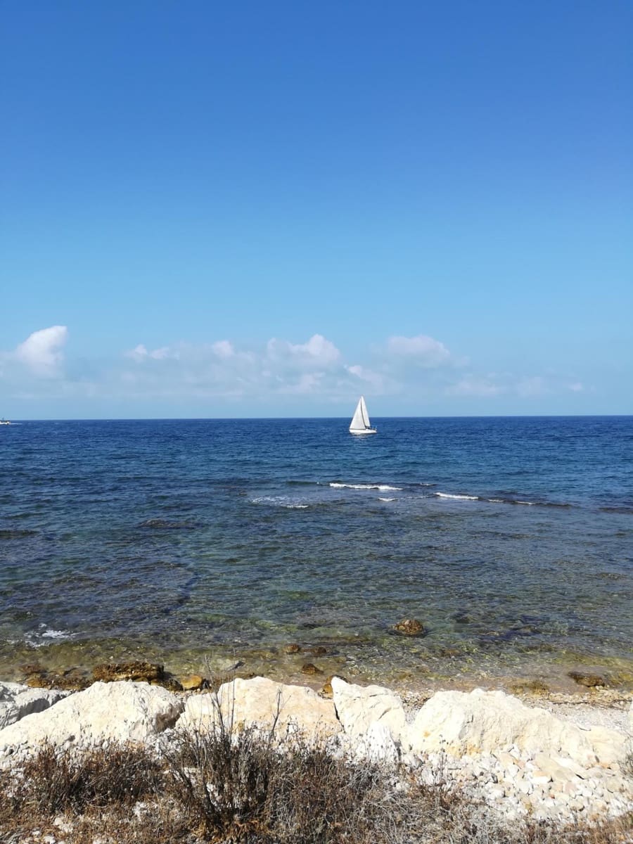 Kaupallinen vuokrattavana paikassa Denia - 1 800 € (Ref: 8438685)