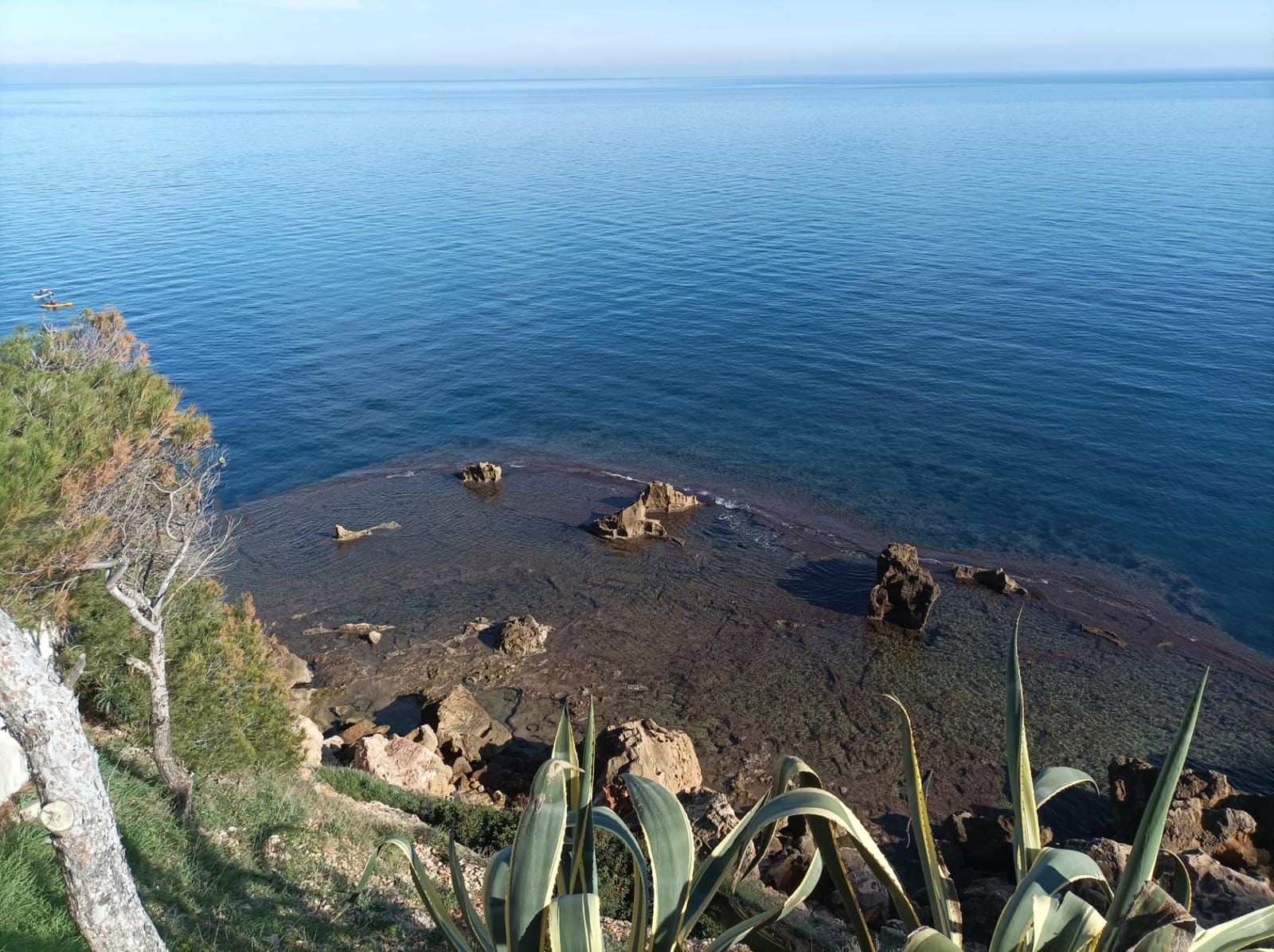 Kaupallinen vuokrattavana paikassa Denia - 1 800 € (Ref: 8438685)