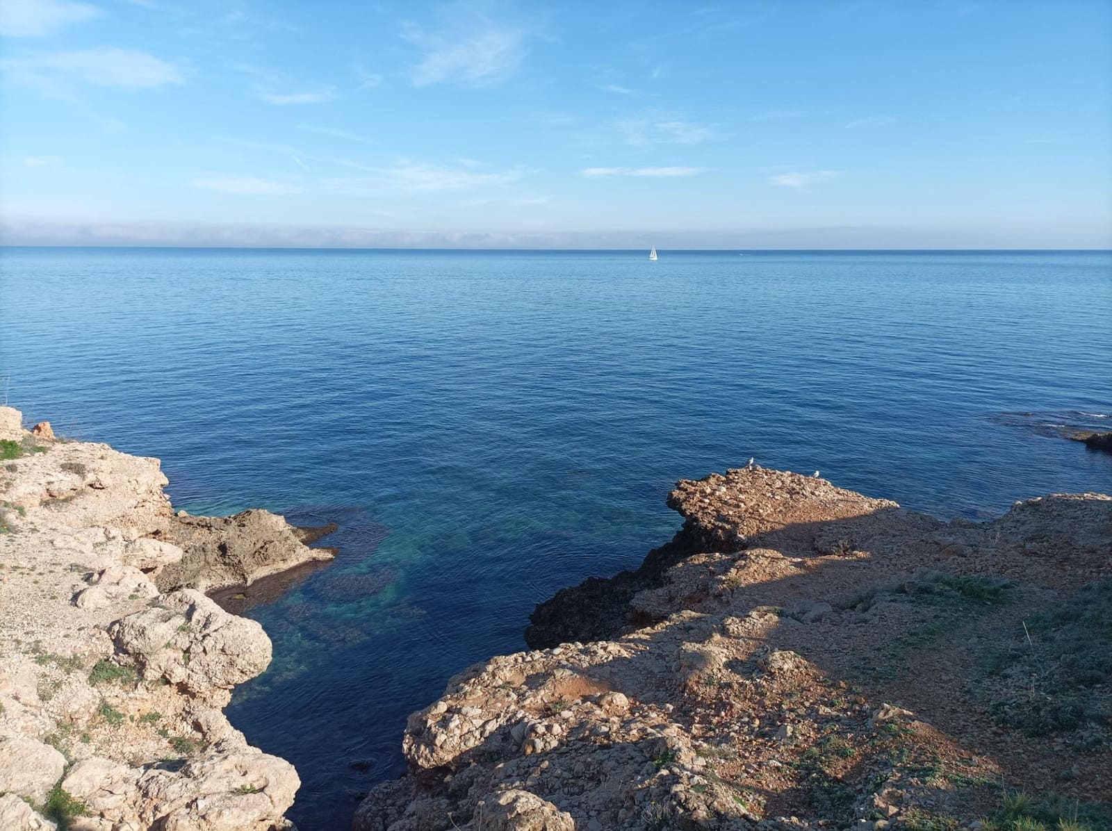 Kaupallinen vuokrattavana paikassa Denia - 1 800 € (Ref: 8438685)