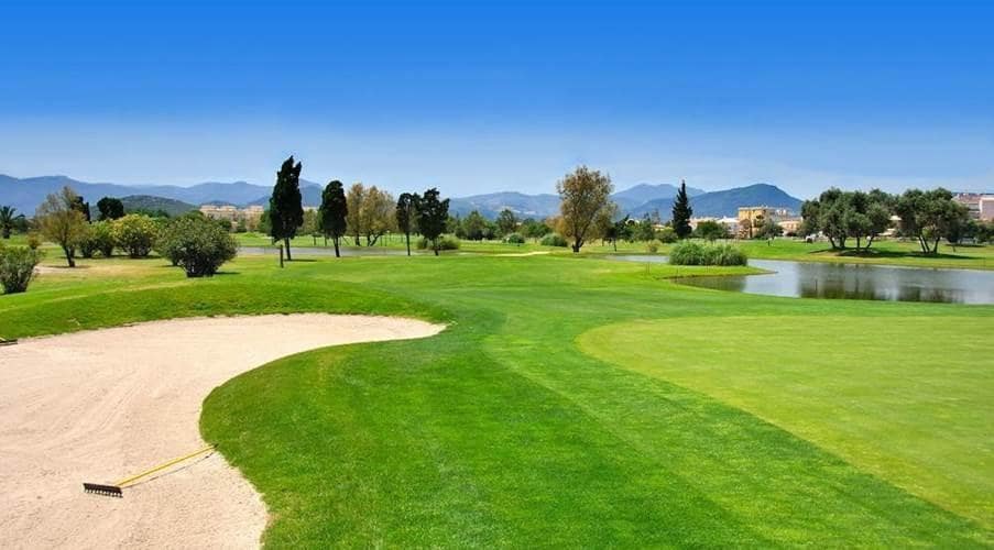 2 bedroom Apartment for rent in Oliva with pool - € 750 (Ref: 8597670)