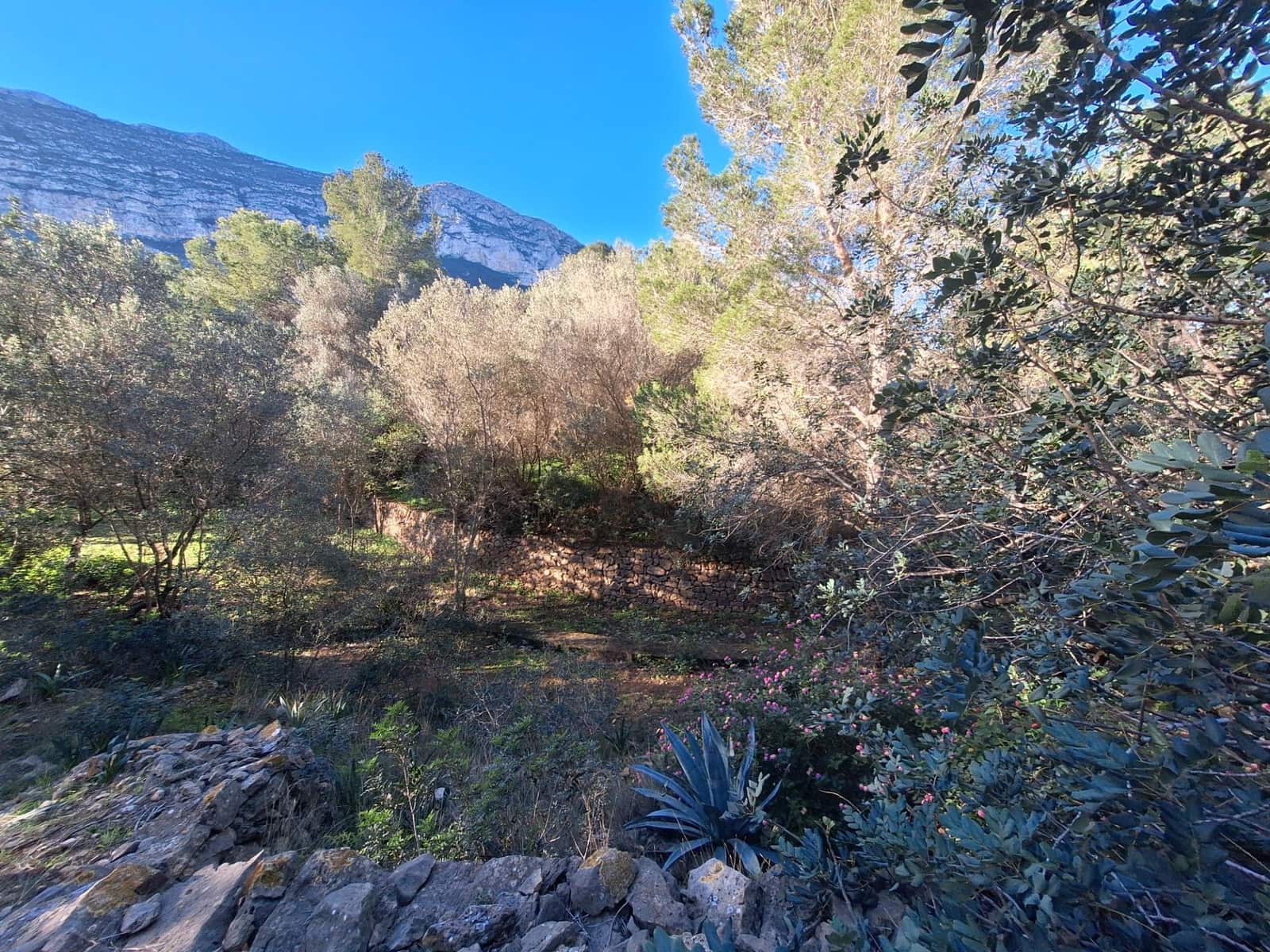 Byggetomt til salgs i Denia - € 100 000 (Ref: 8727948)