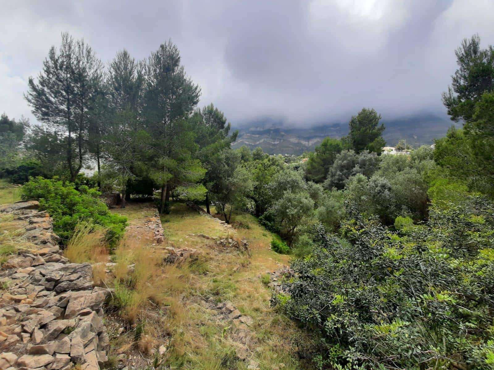 Building Plot for sale in Denia - € 100,000 (Ref: 8727948)