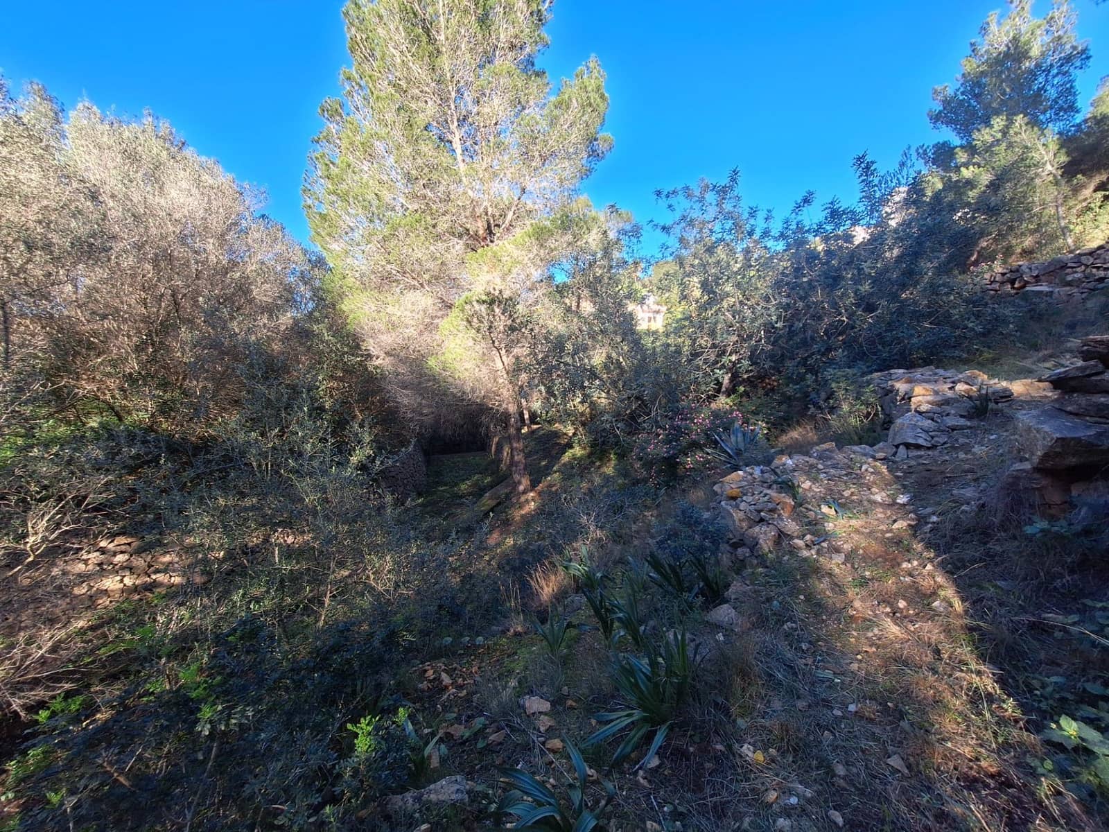 Building Plot for sale in Denia - € 100,000 (Ref: 8727948)