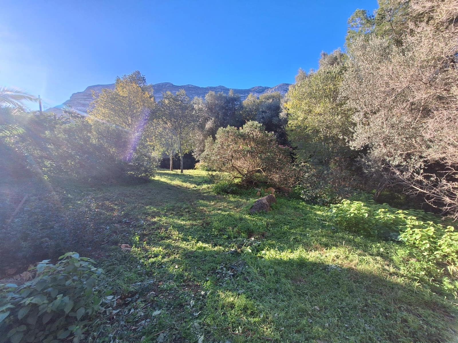 Bouwgrond te koop in Denia - € 100.000 (Ref: 8727948)
