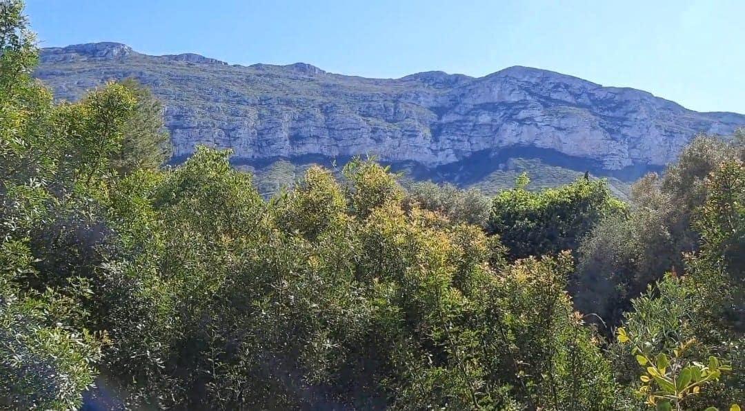 Bouwgrond te koop in Denia - € 100.000 (Ref: 8727948)