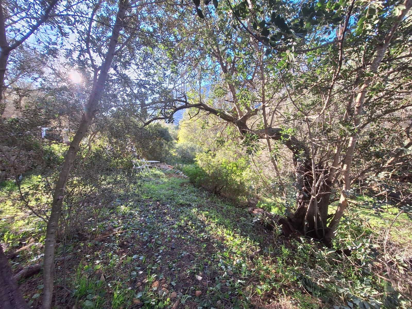 Bouwgrond te koop in Denia - € 100.000 (Ref: 8727948)