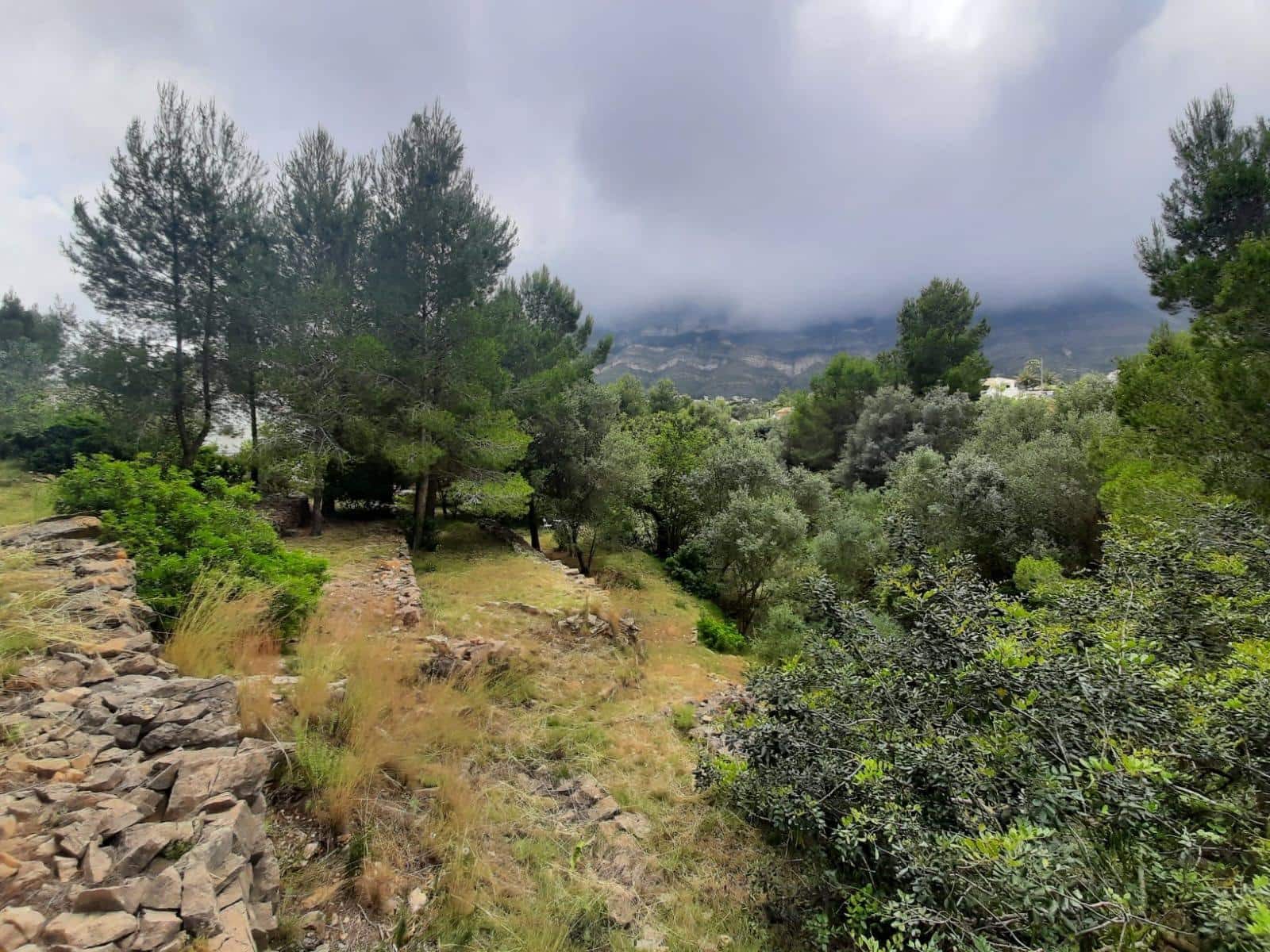 Bouwgrond te koop in Denia - € 100.000 (Ref: 8727948)