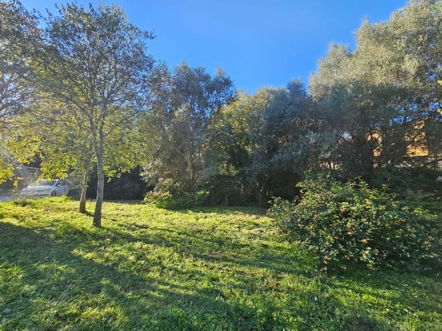 Tomt till salu i El Montgó, Dénia - 100 000 € (Ref: 8727948)
