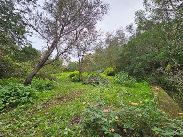 Tomt till salu i El Montgó, Dénia - 100 000 € (Ref: 8727948)