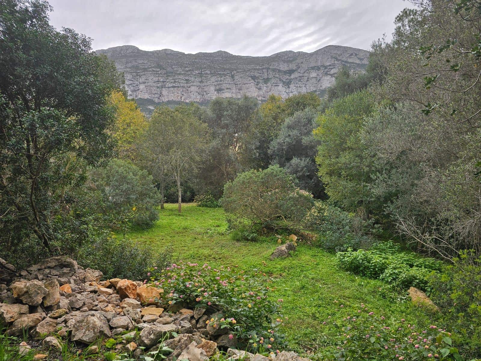 Bouwgrond te koop in Denia - € 100.000 (Ref: 8727948)