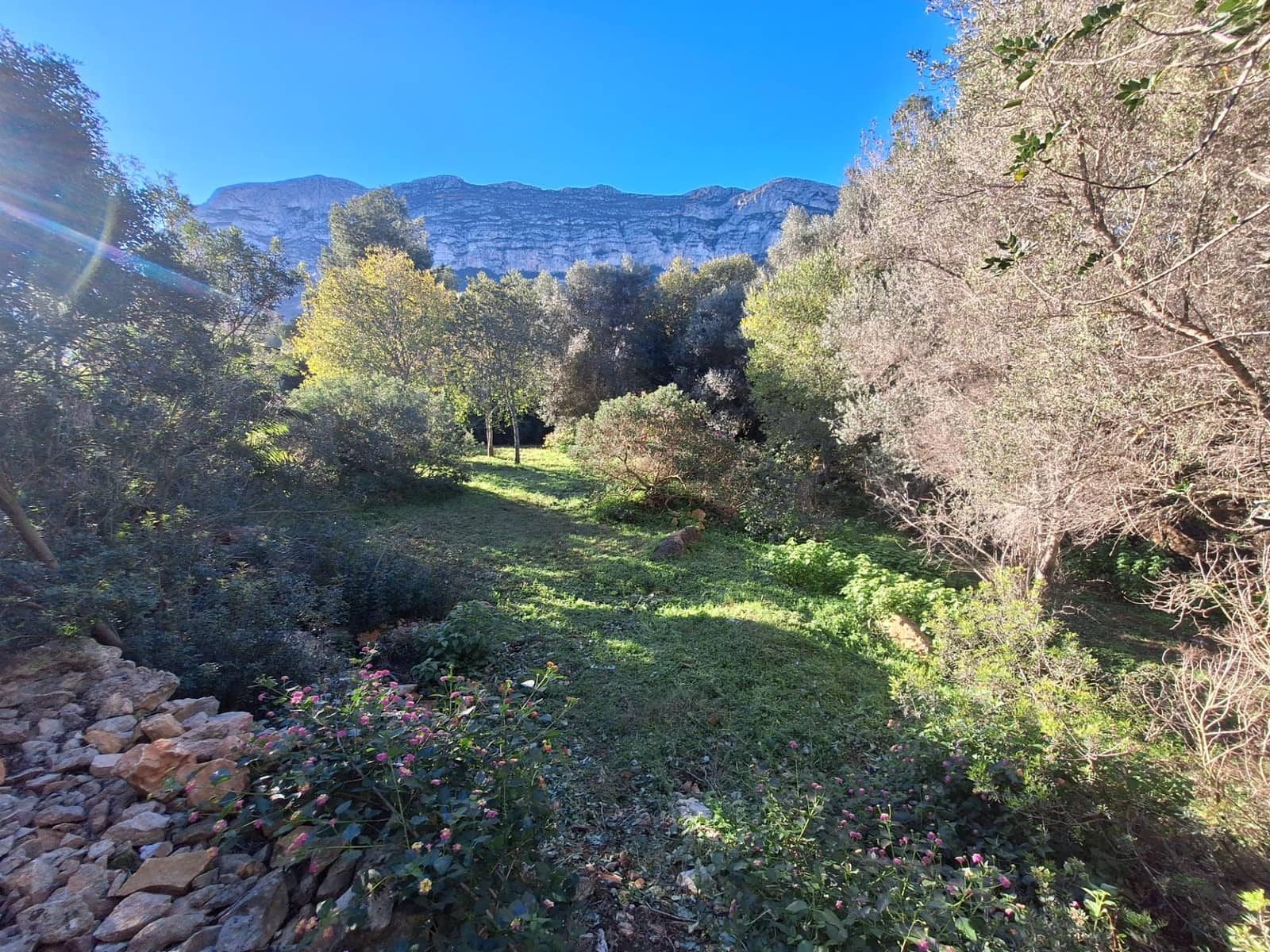 Bouwgrond te koop in Denia - € 100.000 (Ref: 8727948)