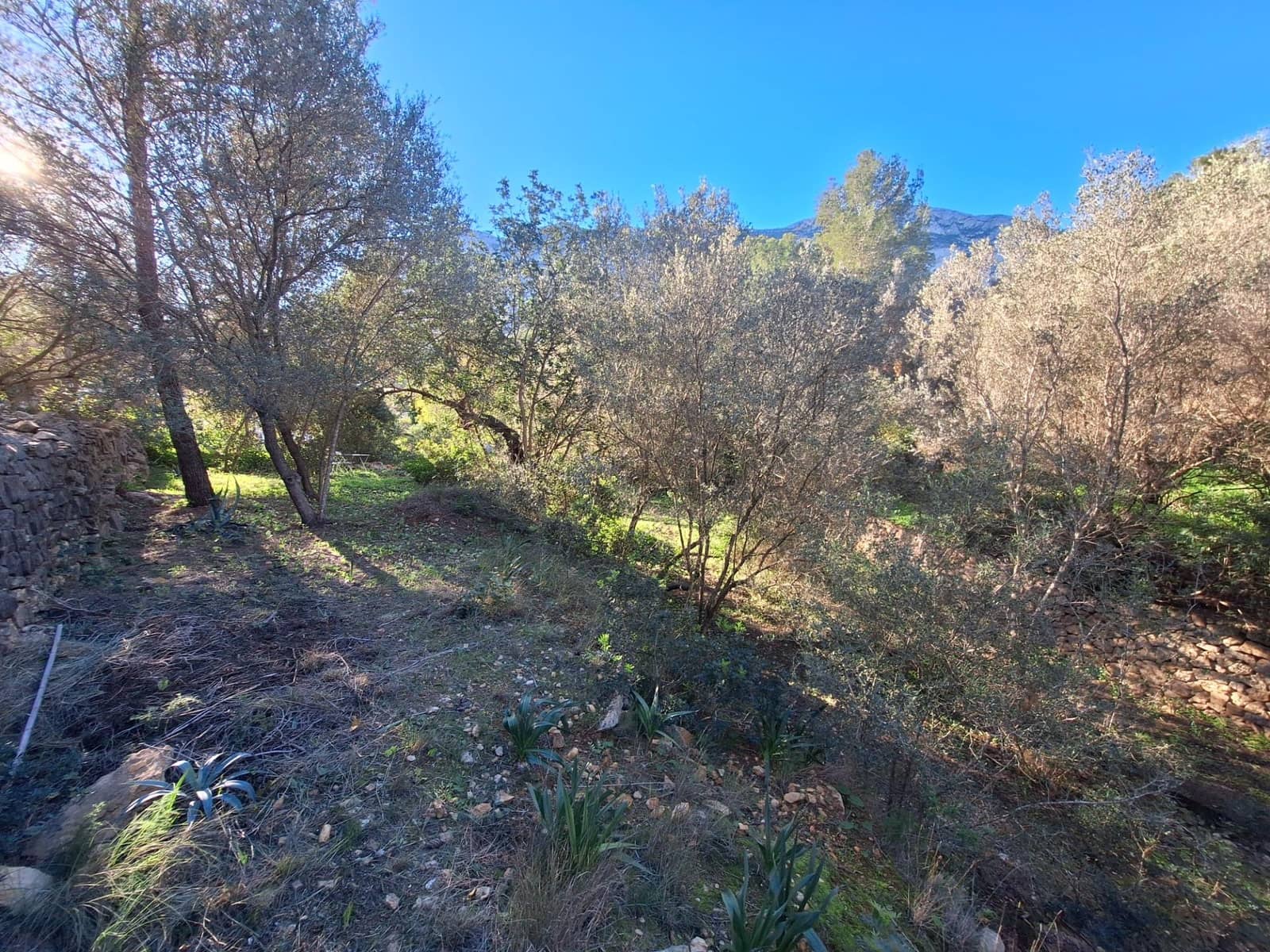 Bouwgrond te koop in Denia - € 100.000 (Ref: 8727948)