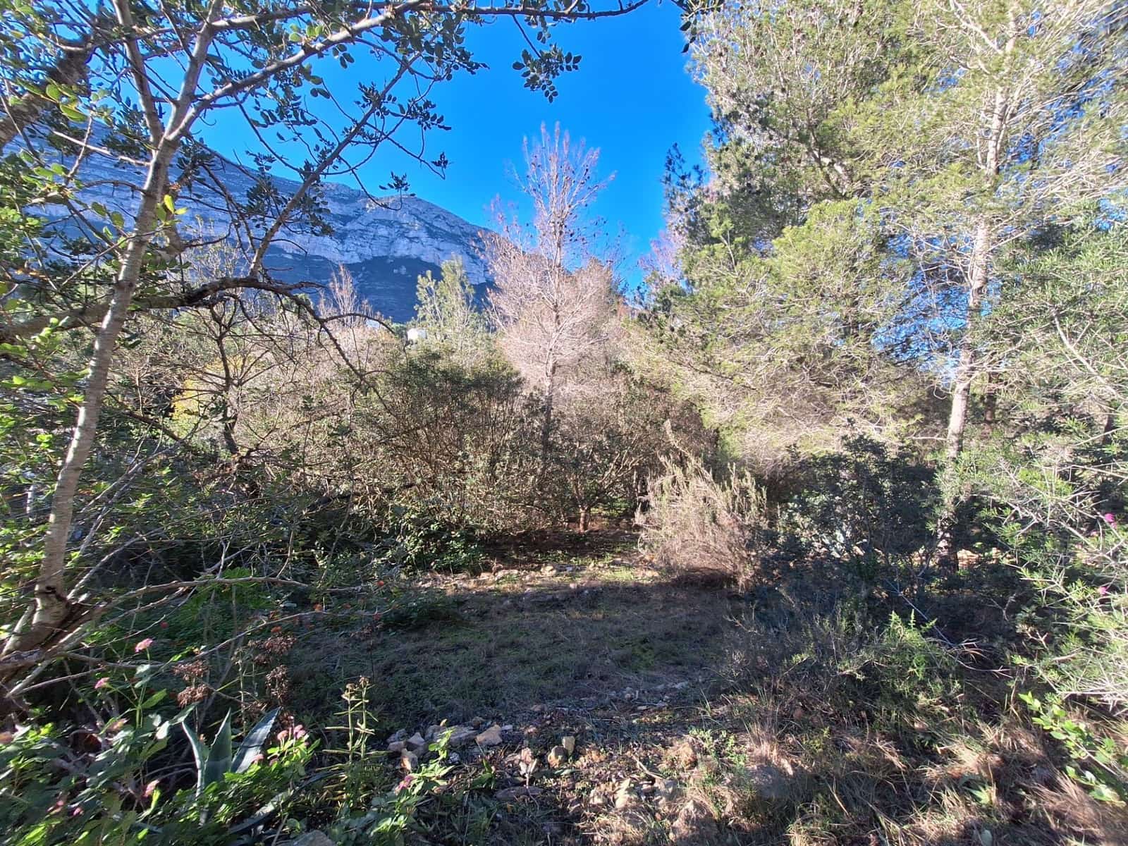 Bouwgrond te koop in Denia - € 100.000 (Ref: 8727948)