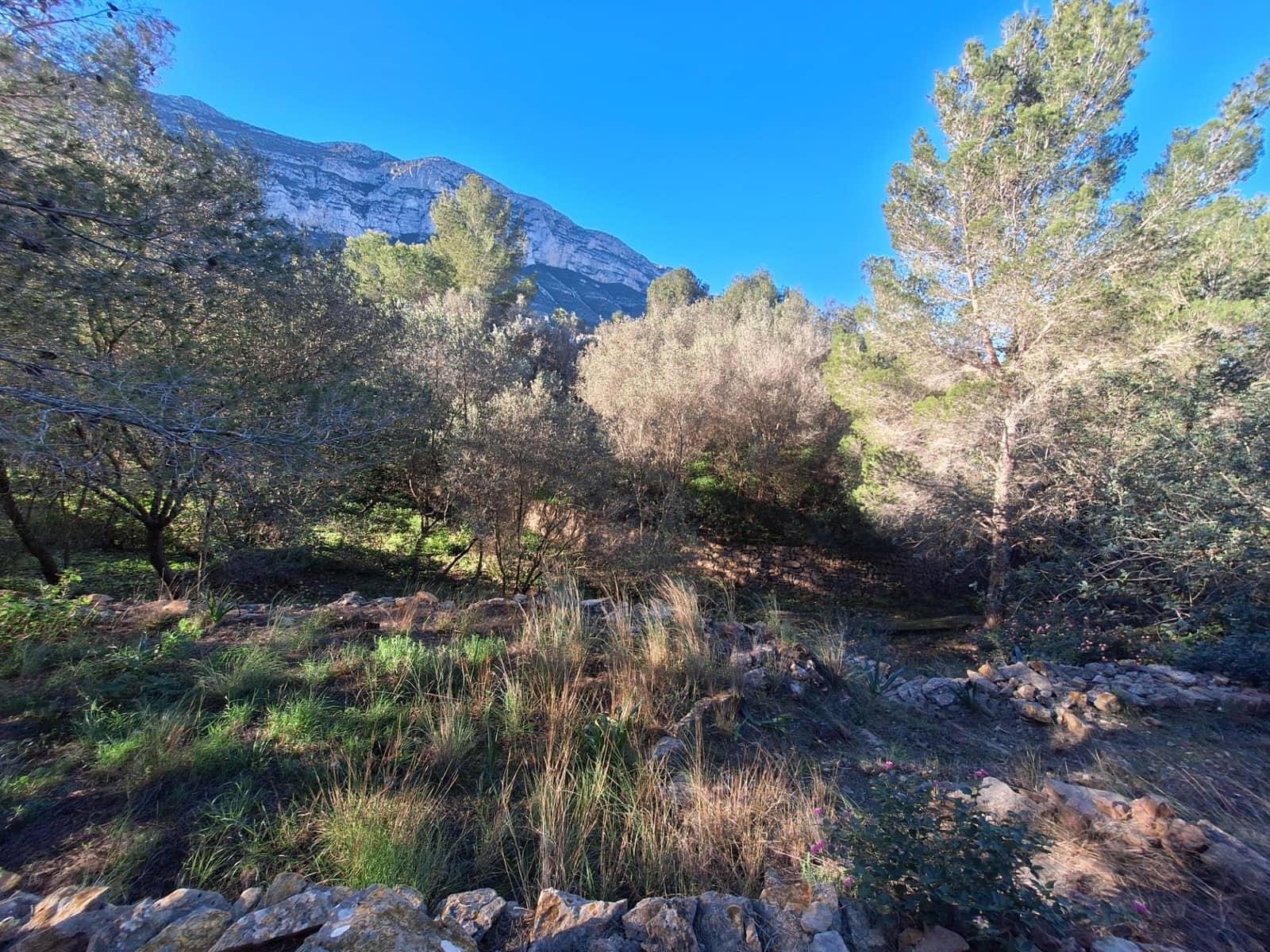 Bouwgrond te koop in Denia - € 100.000 (Ref: 8727948)