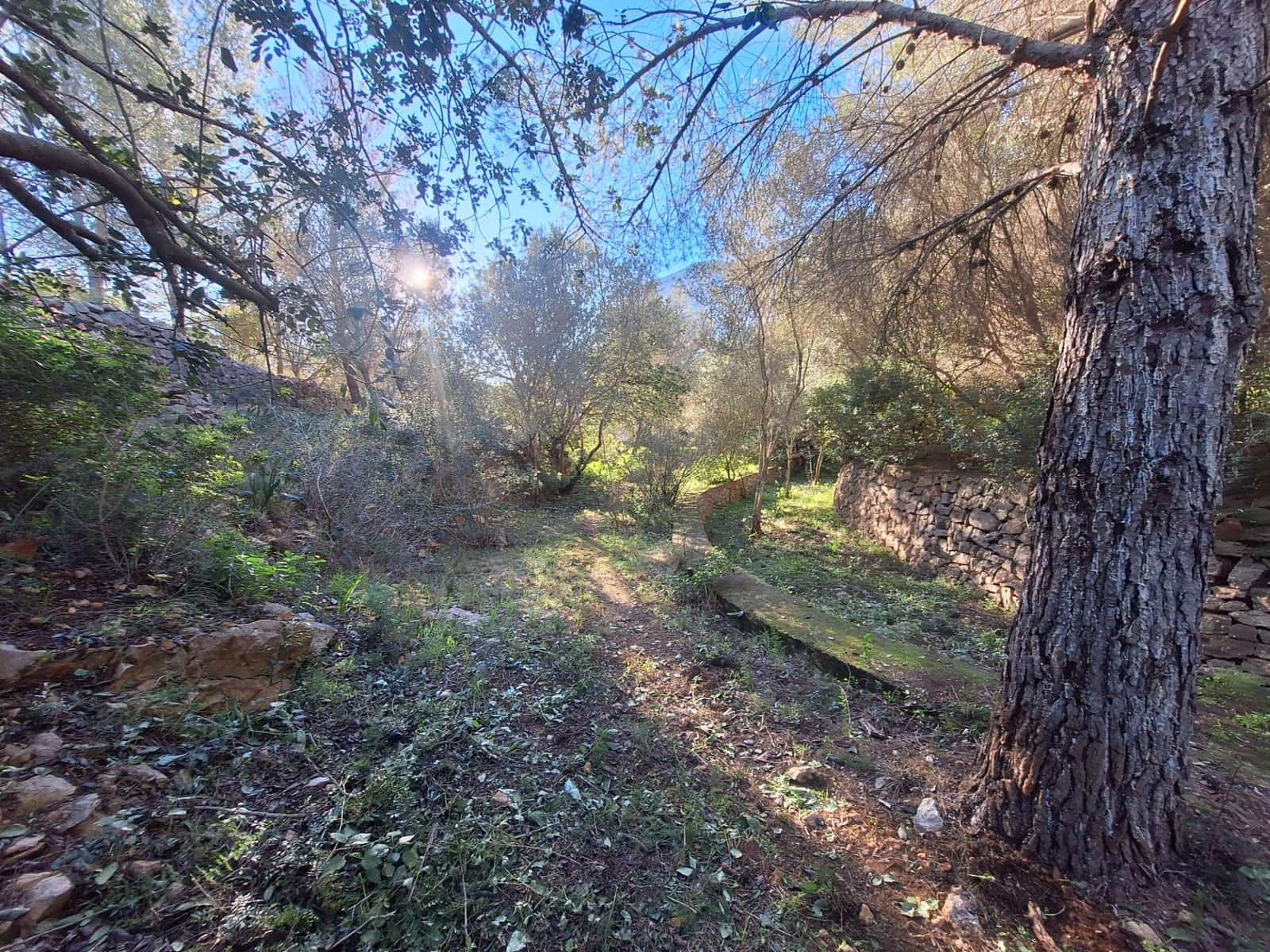 Bouwgrond te koop in Denia - € 100.000 (Ref: 8727948)