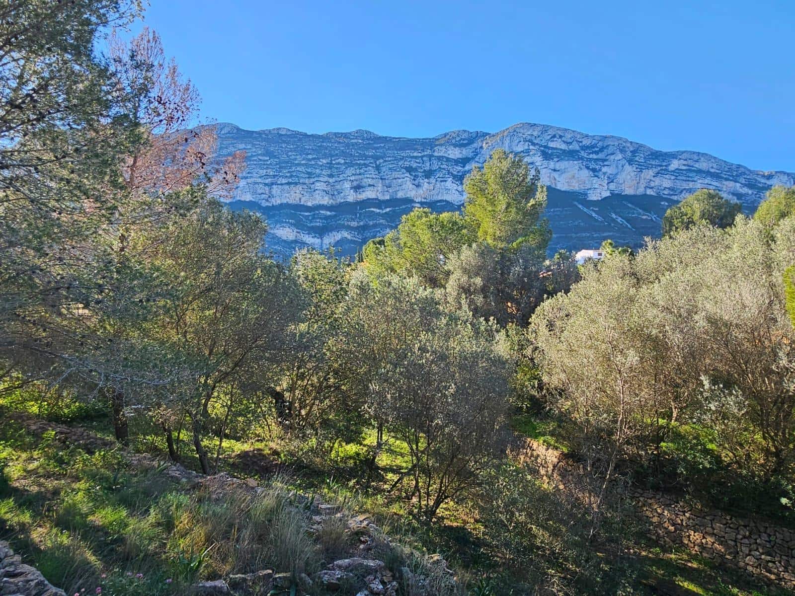 Bouwgrond te koop in Denia - € 120.000 (Ref: 8727949)