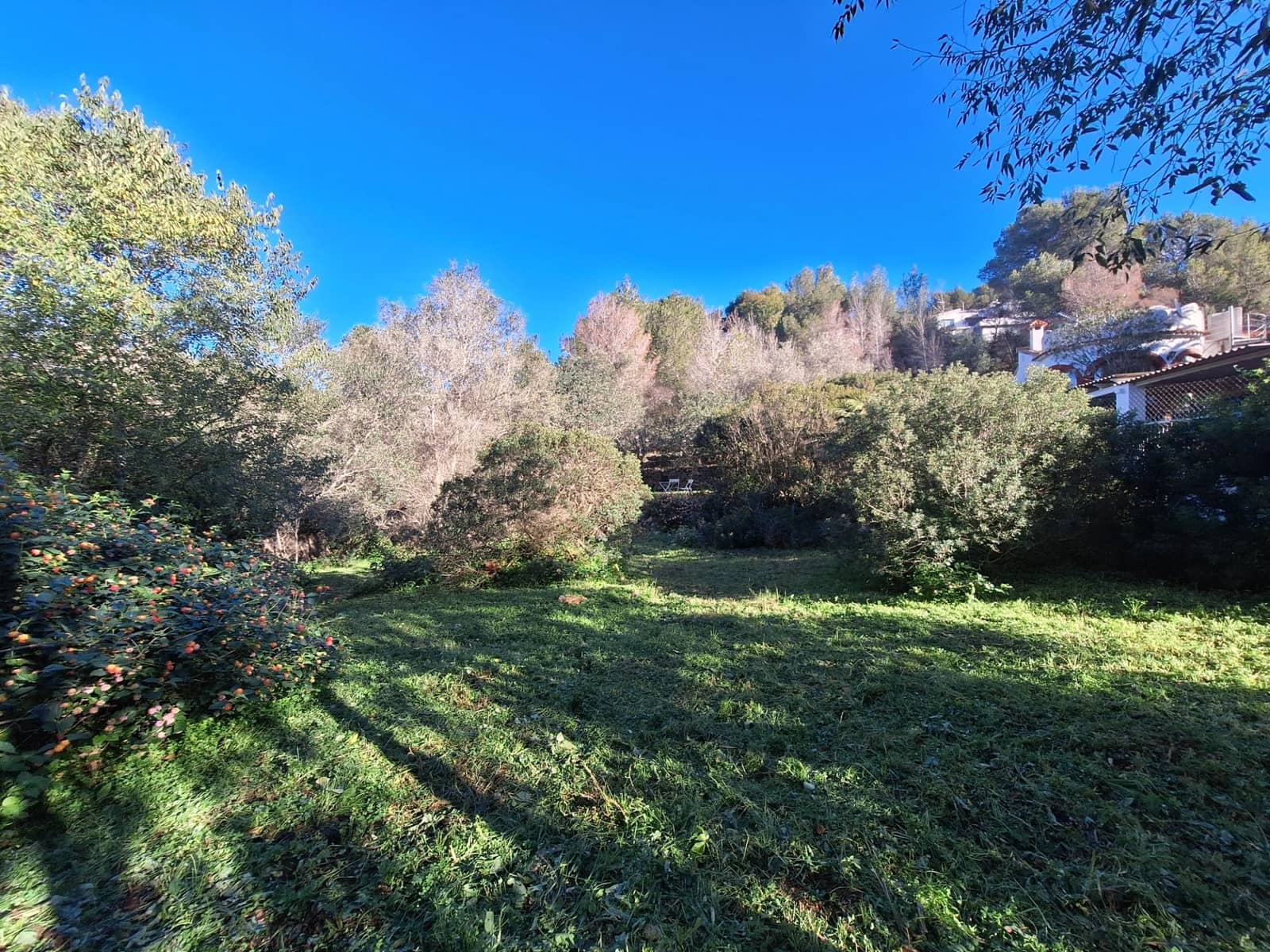 Bouwgrond te koop in Denia - € 120.000 (Ref: 8727949)