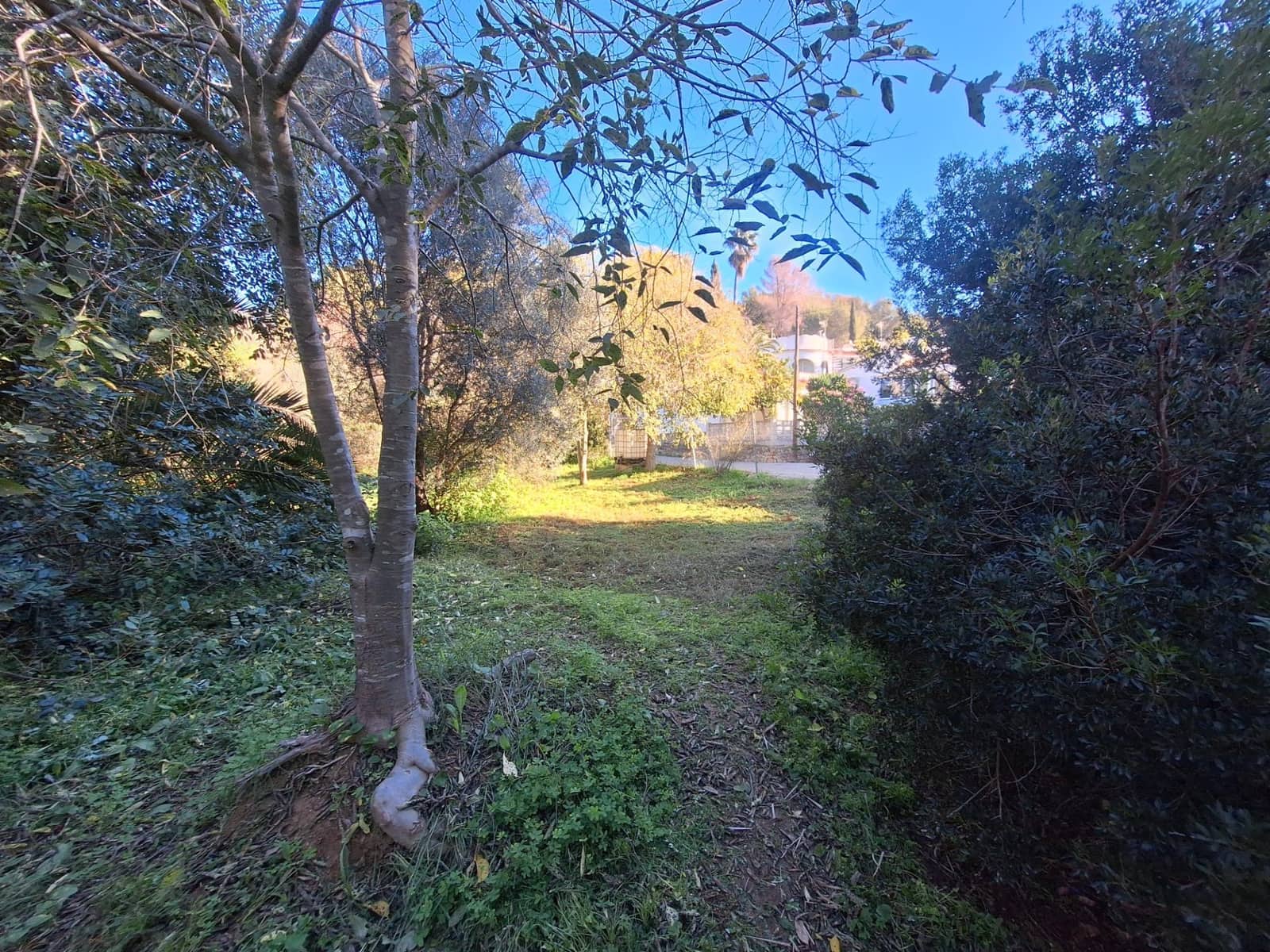 Bouwgrond te koop in Denia - € 120.000 (Ref: 8727949)