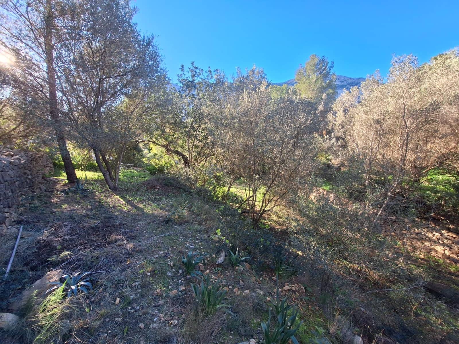 Byggetomt til salgs i Denia - € 120 000 (Ref: 8727949)