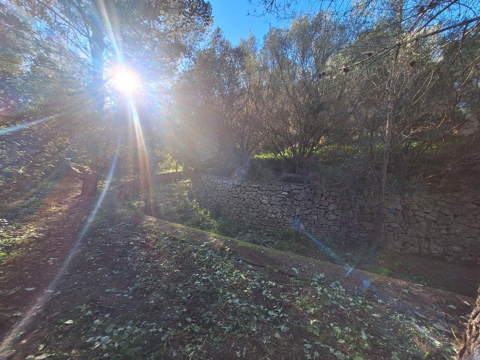 Bouwgrond te koop in Denia - € 250.000 (Ref: 8727950)