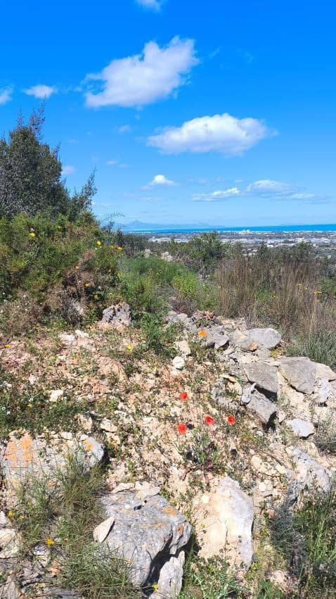 7 sypialnia Willa na sprzedaż w Denia z basenem garażem - 1 450 000 € (Ref: 8993932)