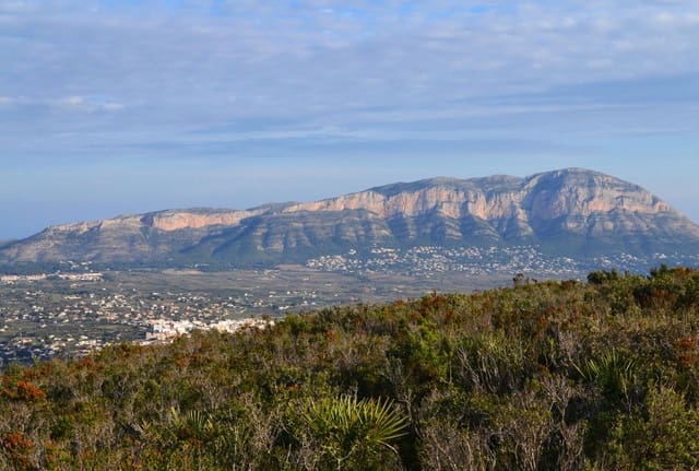 Bauplatz zu verkaufen in Gata de Gorgos - 100.000 € (Ref: 9029698)