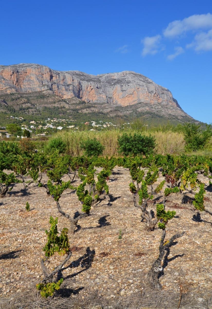 Building Plot for sale in Gata de Gorgos - € 100,000 (Ref: 9029698)