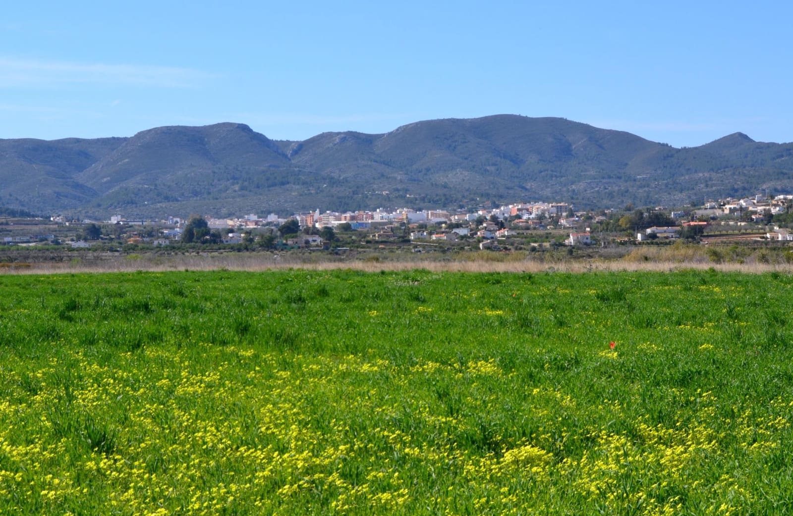 Building Plot for sale in Gata de Gorgos - € 100,000 (Ref: 9029698)