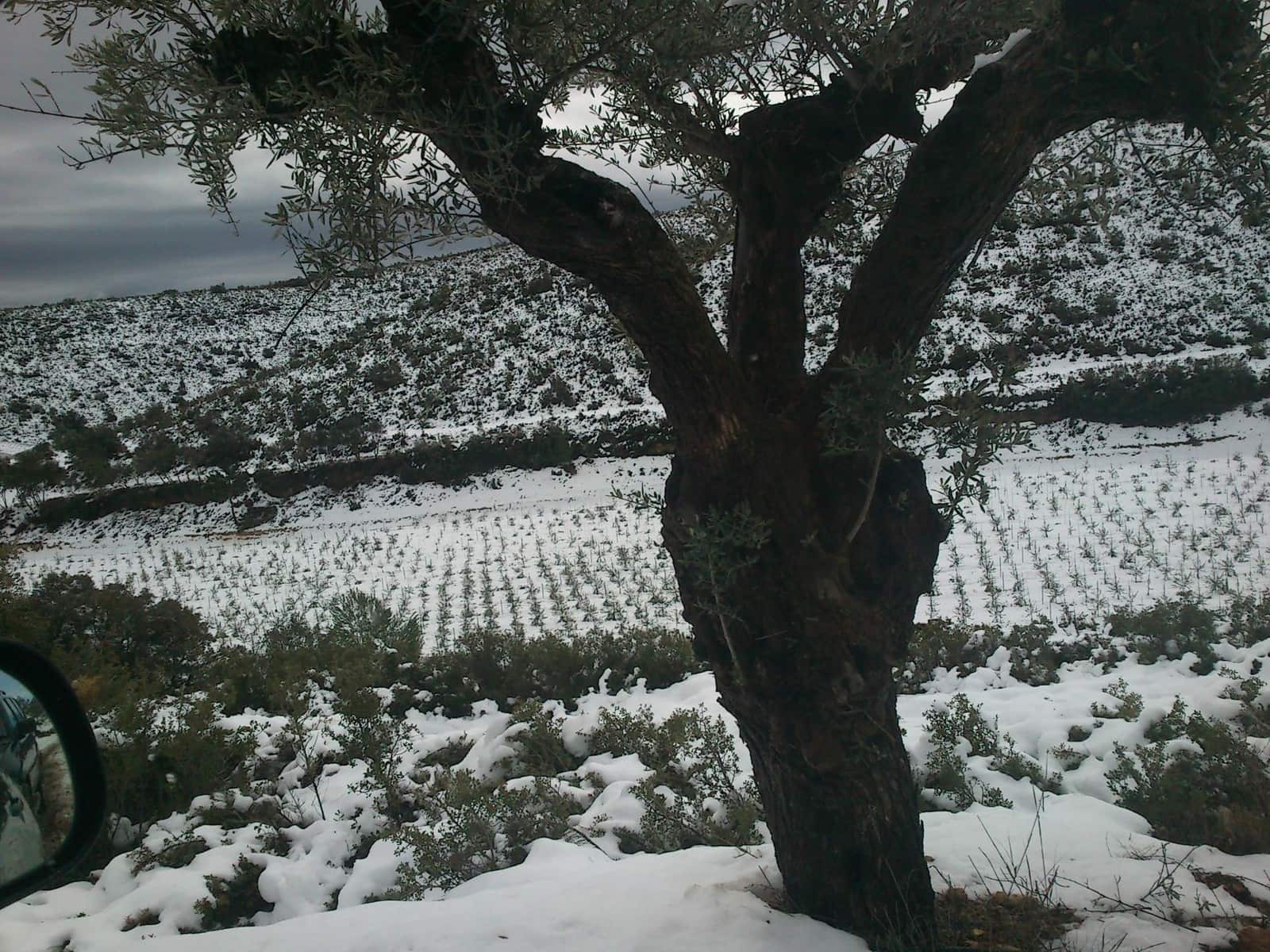 Finca/Casa Rural de 6 habitaciones en Enguera en venta con piscina garaje - 1.100.000 € (Ref: 9141733)