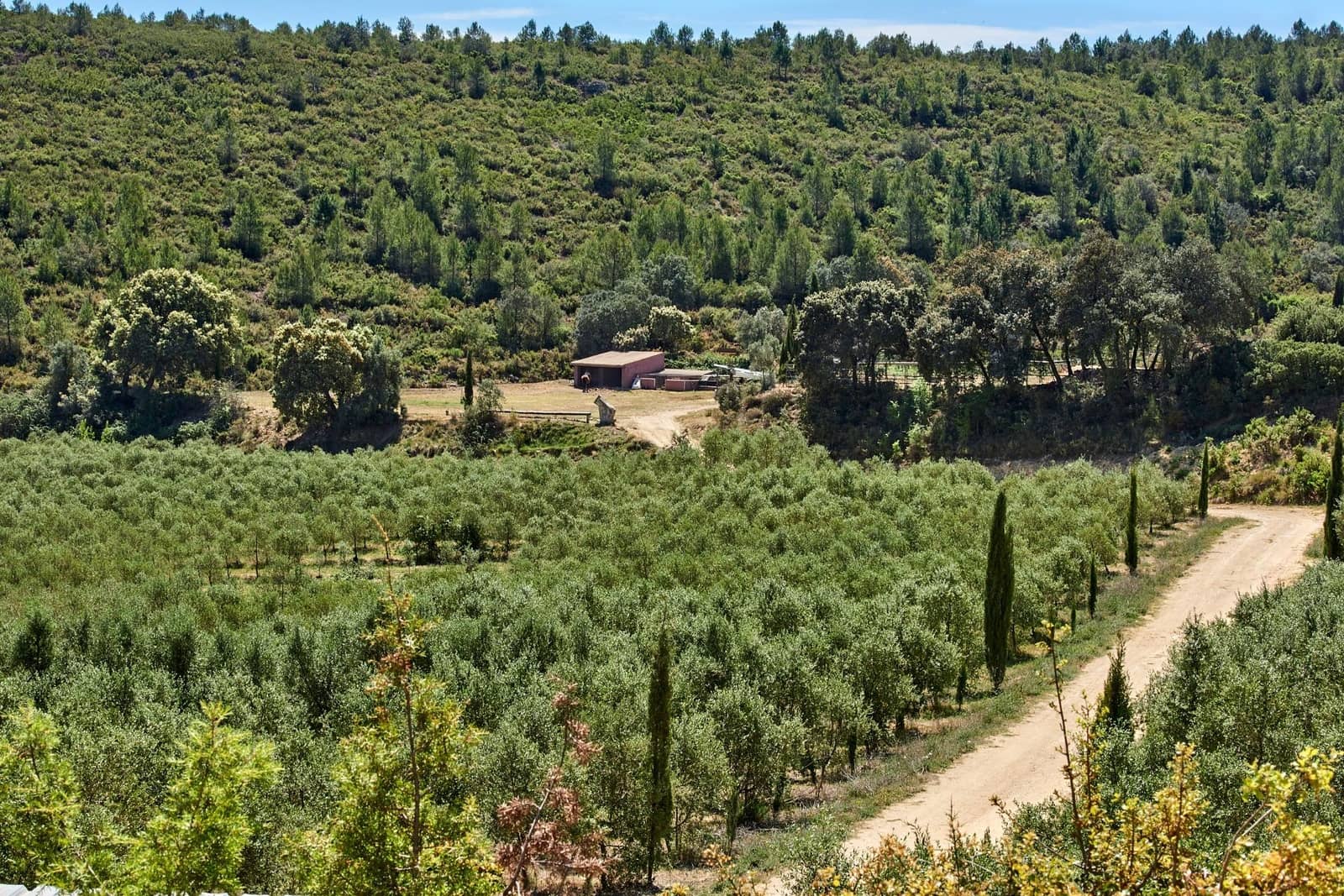 6 quarto Quinta/Casa Rural para venda em Enguera com piscina garagem - 1 100 000 € (Ref: 9141733)