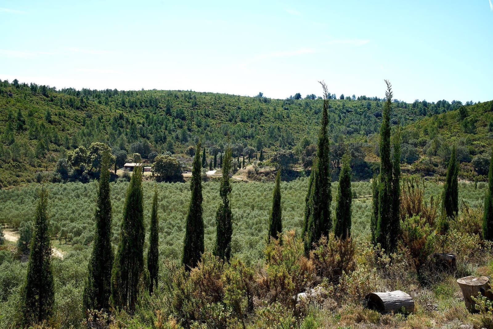 6 quarto Quinta/Casa Rural para venda em Enguera com piscina garagem - 1 100 000 € (Ref: 9141733)