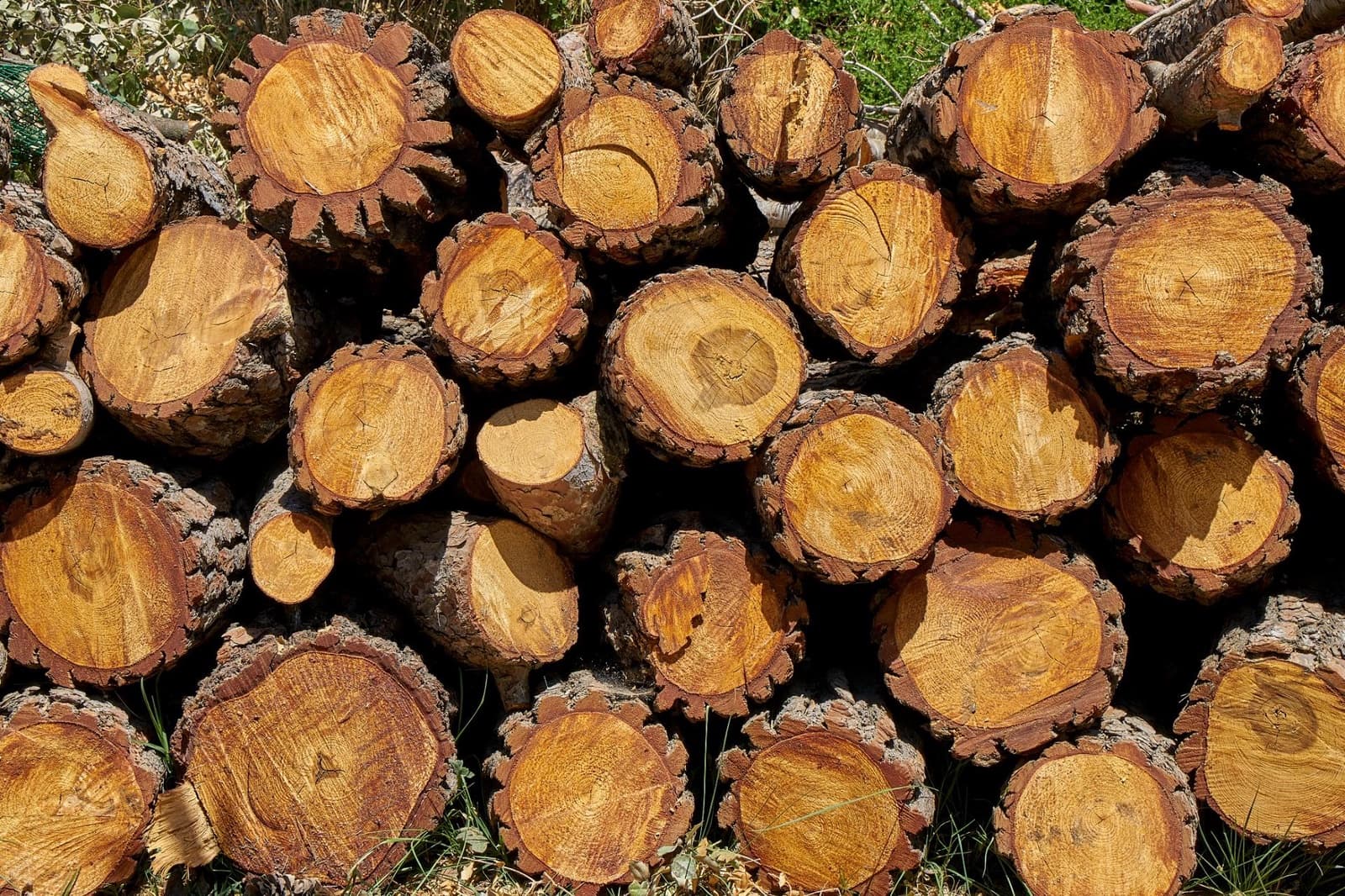 6 makuuhuone Maalaistalo myytävänä paikassa Enguera mukana uima-altaan 
autotalli - 1 100 000 € (Ref: 9141733)