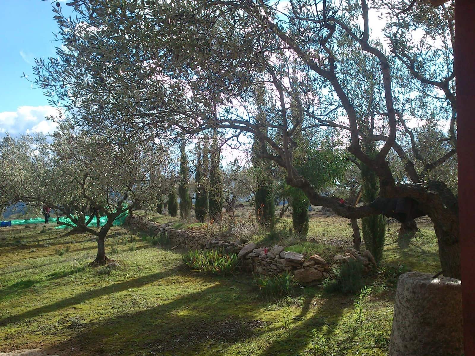 6 Zimmer Finca/Landgut zu verkaufen in Enguera mit Pool Garage - 1.100.000 € (Ref: 9141733)