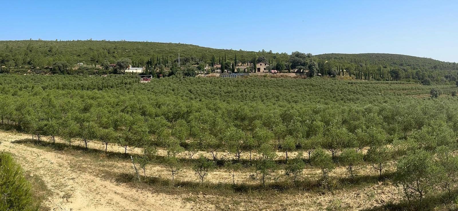 6 bedroom Finca/Country House for sale in Enguera with pool garage - € 1,100,000 (Ref: 9141733)