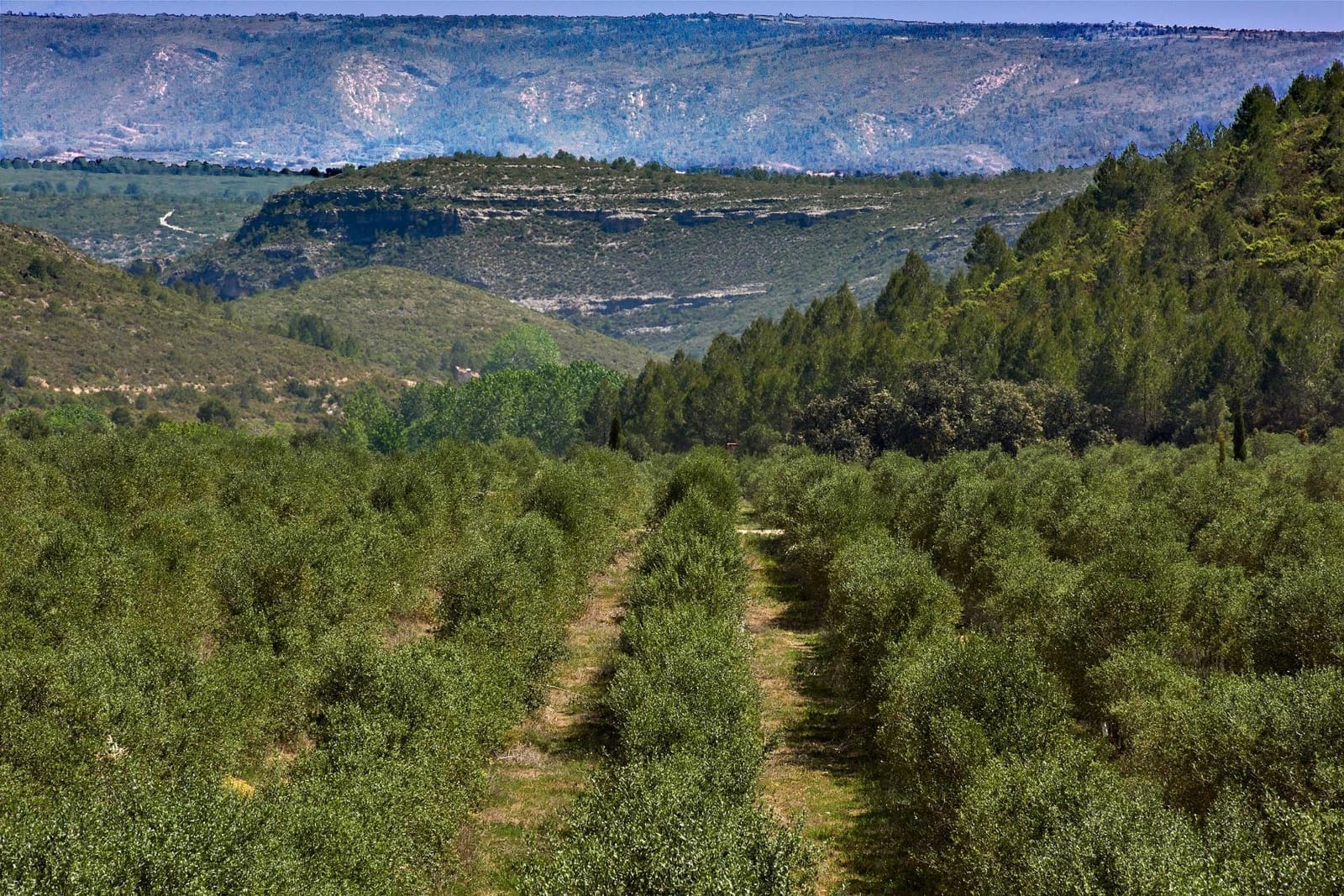 6 sypialnia Finka/Dom wiejski na sprzedaż w Enguera z basenem garażem - 1 100 000 € (Ref: 9141733)