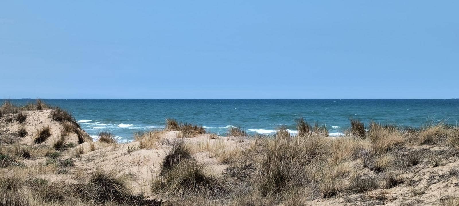 12 soveværelse Finca/Landehus til salg i Cullera med garage - € 4.500.000 (Ref: 9152362)