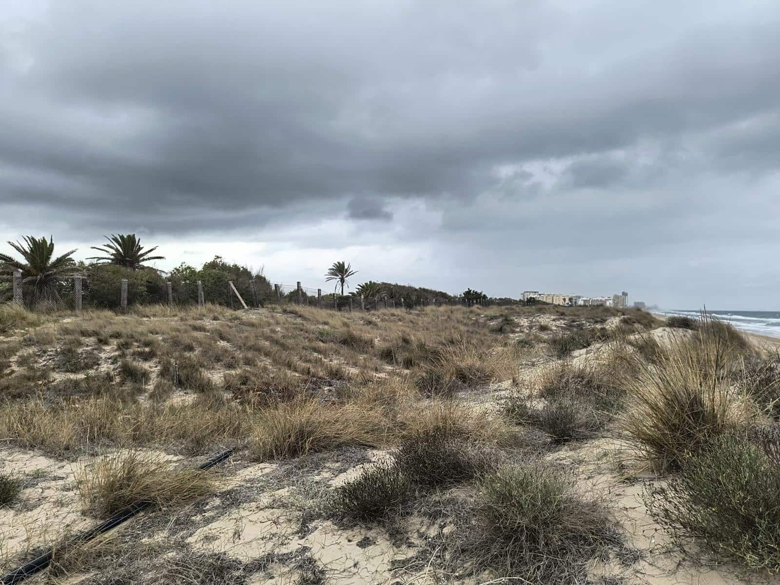 12 soveværelse Finca/Landehus til salg i Cullera med garage - € 4.500.000 (Ref: 9152362)