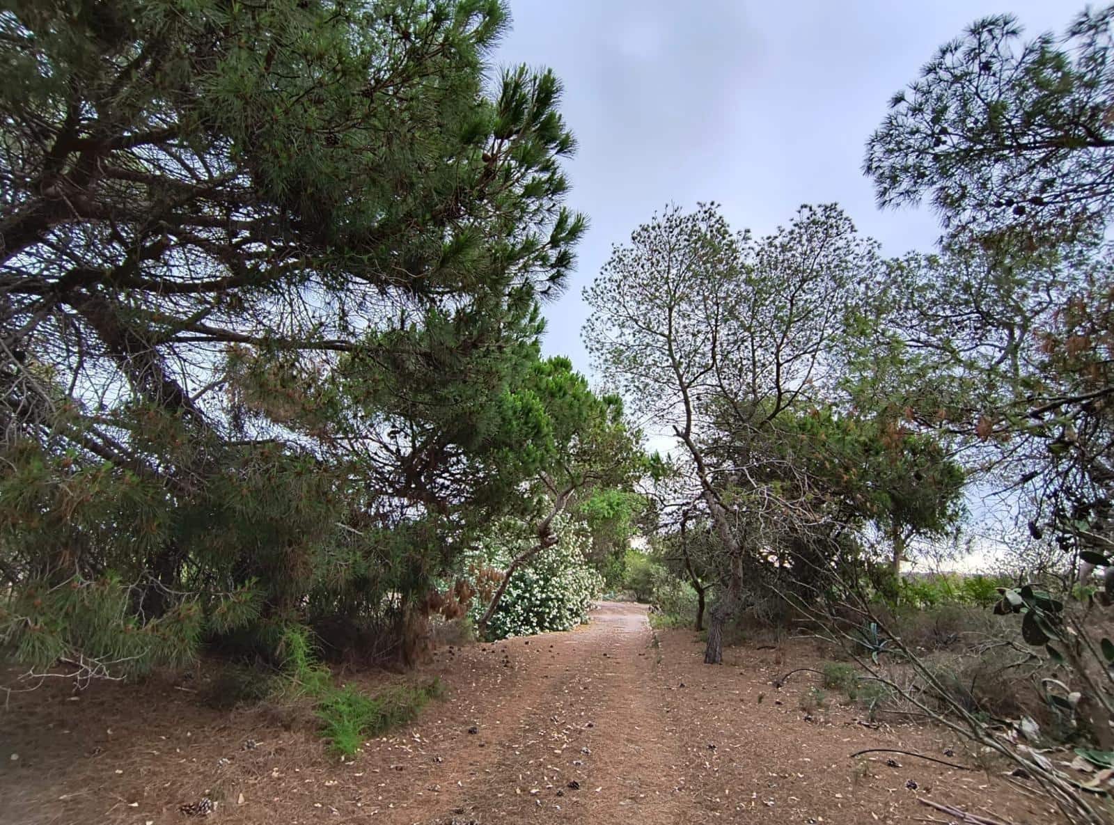 12 soveværelse Finca/Landehus til salg i Cullera med garage - € 4.500.000 (Ref: 9152362)