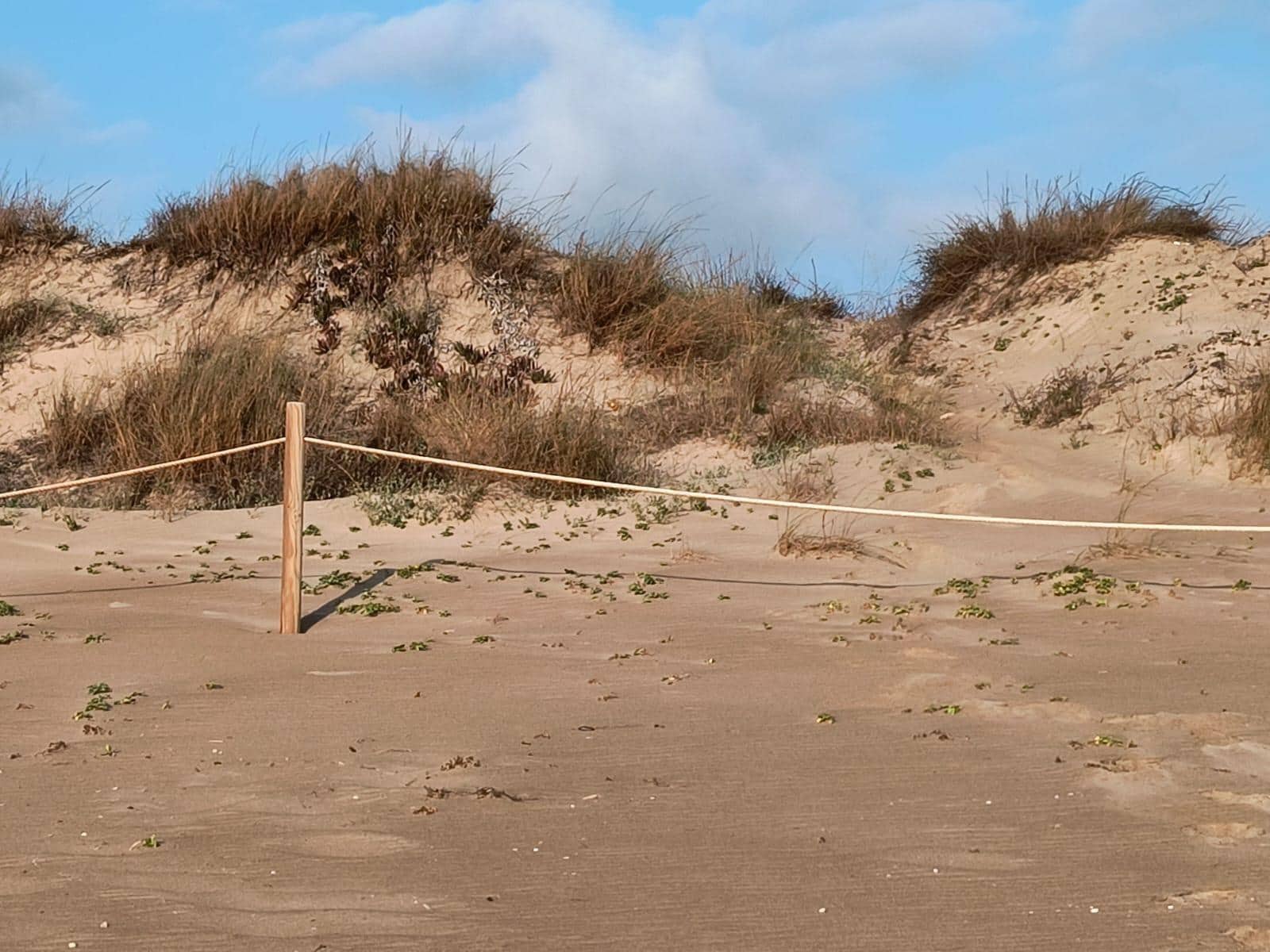 12 soverom Finca/Herregård til salgs i Cullera med garasje - € 4 500 000 (Ref: 9152362)