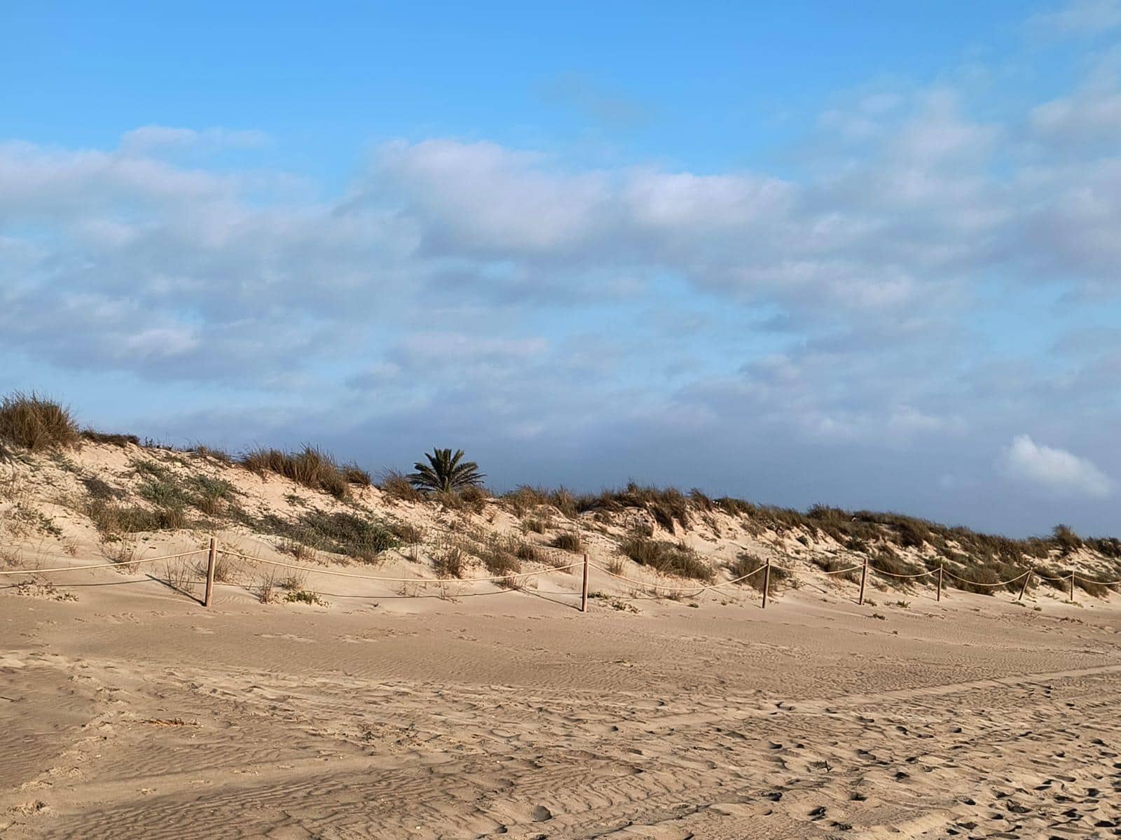 12 soverom Finca/Herregård til salgs i Cullera med garasje - € 4 500 000 (Ref: 9152362)