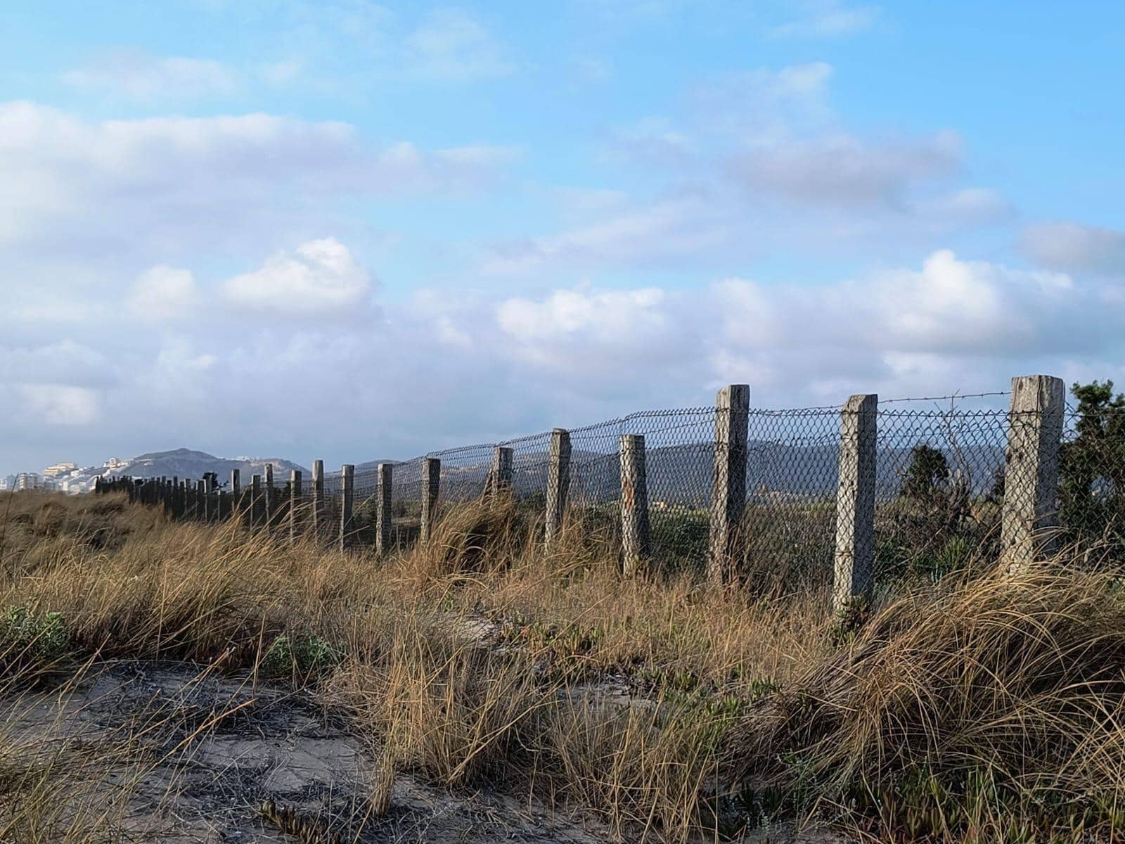 12 slaapkamer Finca/Landhuis te koop in Cullera met garage - € 4.500.000 (Ref: 9152362)