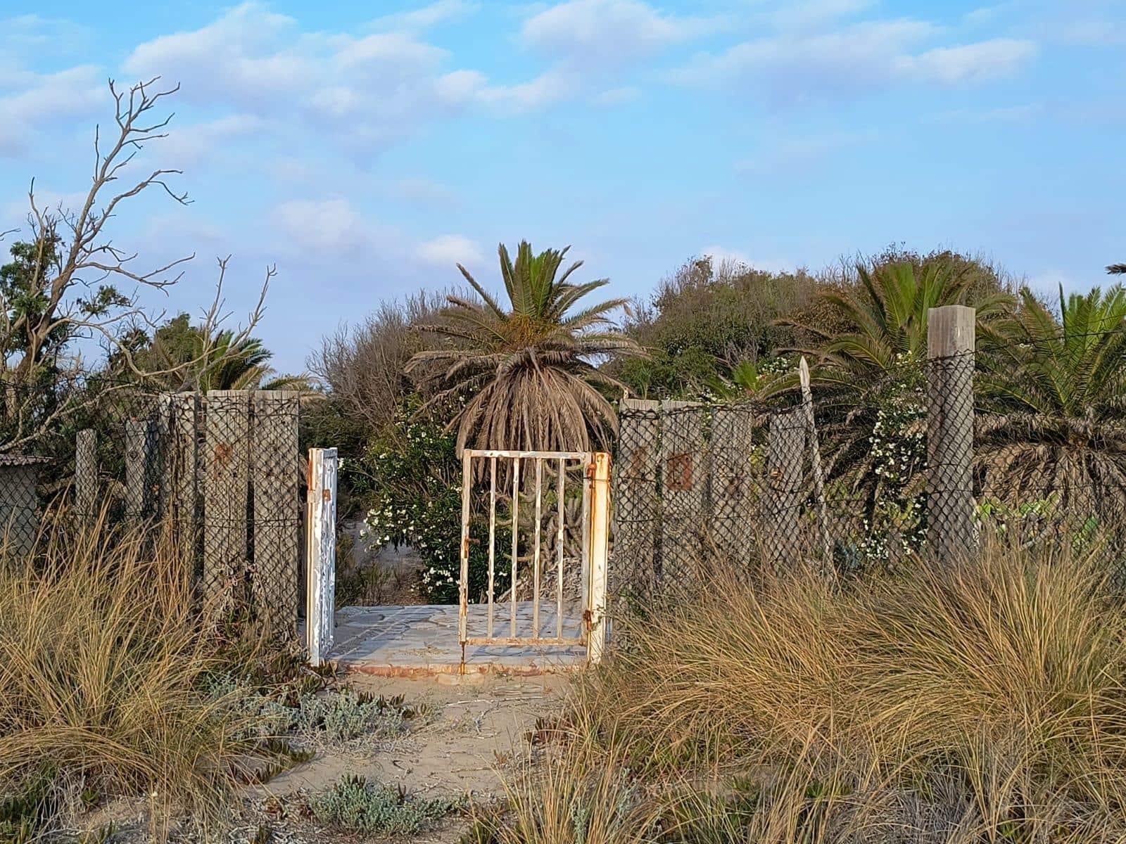 12 slaapkamer Finca/Landhuis te koop in Cullera met garage - € 4.500.000 (Ref: 9152362)