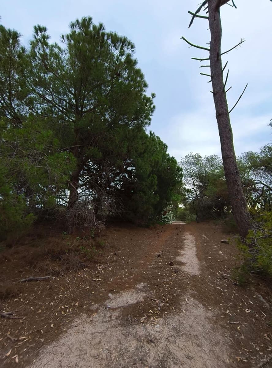 12 quarto Quinta/Casa Rural para venda em Cullera com garagem - 4 500 000 € (Ref: 9152362)