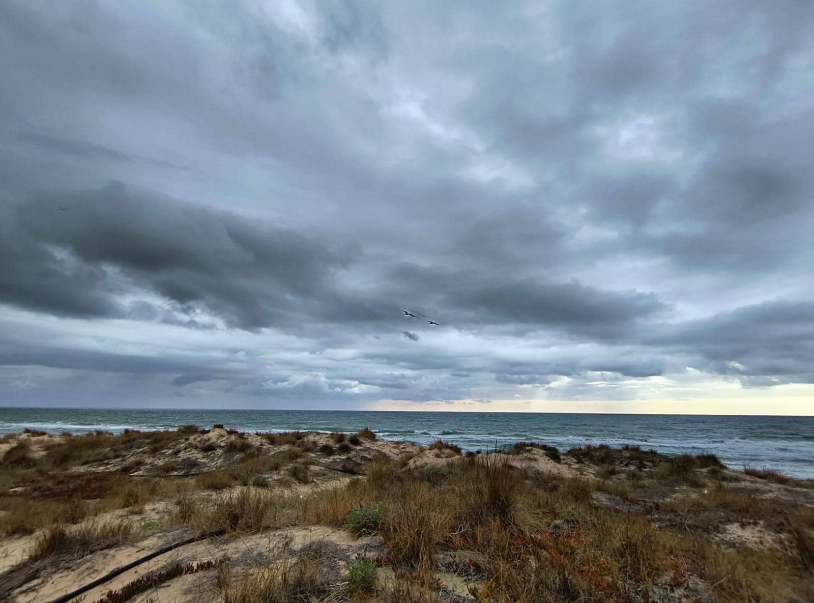 12 soverom Finca/Herregård til salgs i Cullera med garasje - € 4 500 000 (Ref: 9152362)