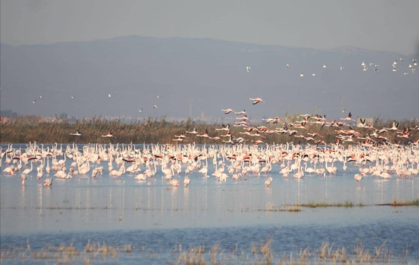 12 quarto Quinta/Casa Rural para venda em Cullera com garagem - 4 500 000 € (Ref: 9152362)