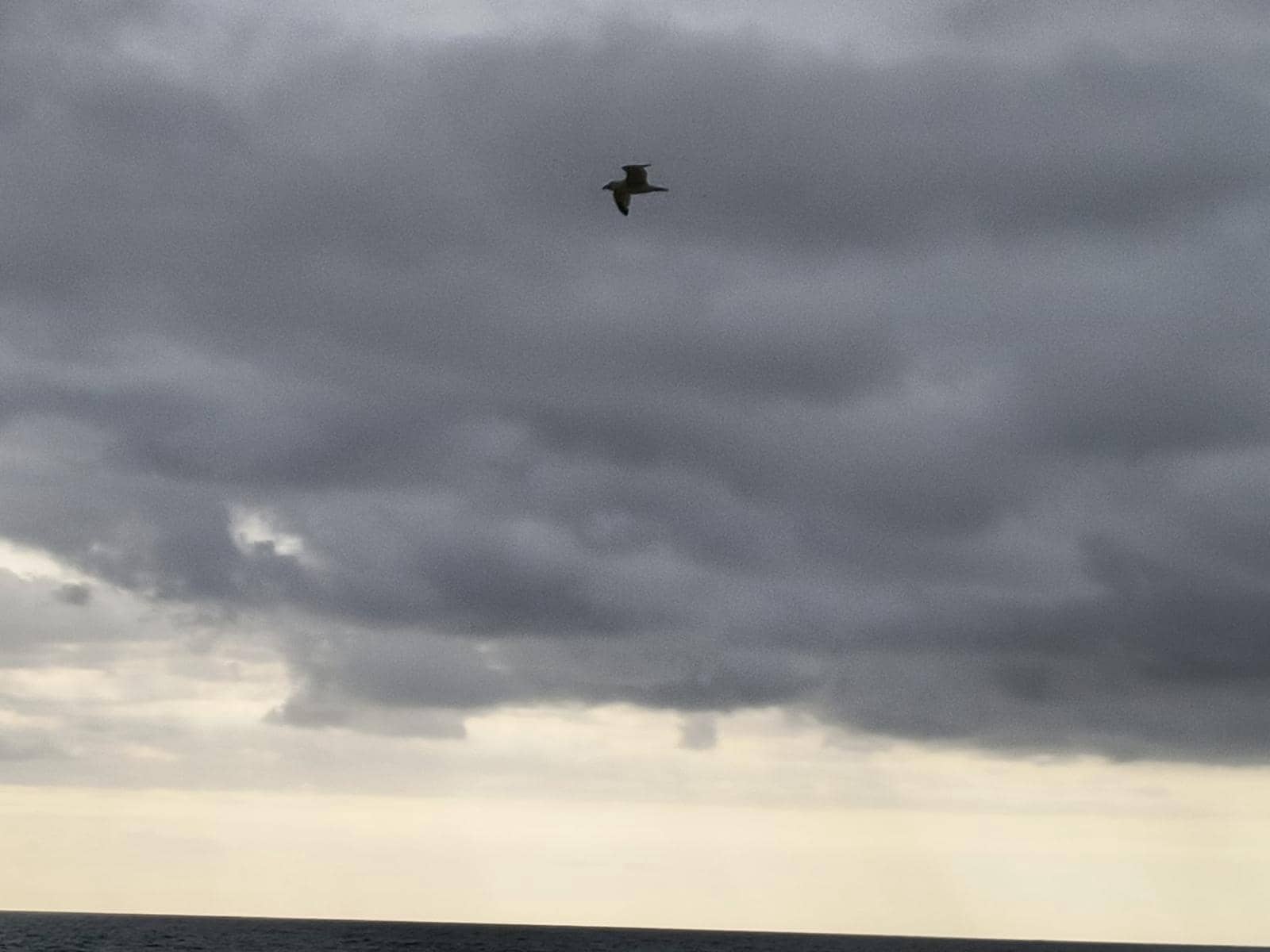 12 quarto Quinta/Casa Rural para venda em Cullera com garagem - 4 500 000 € (Ref: 9152362)