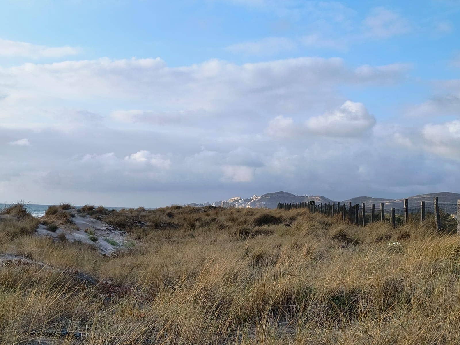 12 sypialnia Finka/Dom wiejski na sprzedaż w Cullera z garażem - 4 500 000 € (Ref: 9152362)