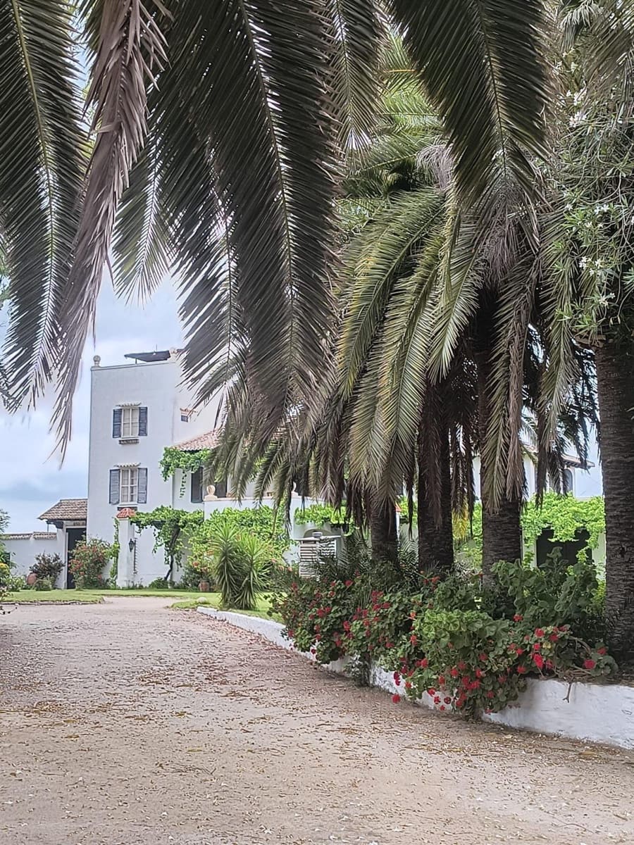 12 sovrum Finca/Hus på landet till salu i Cullera med garage - 4 500 000 € (Ref: 9152362)