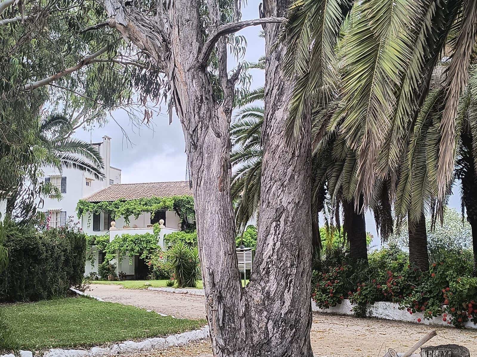 12 sovrum Finca/Hus på landet till salu i Cullera med garage - 4 500 000 € (Ref: 9152362)